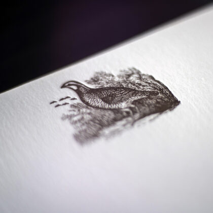Quail note Cards
