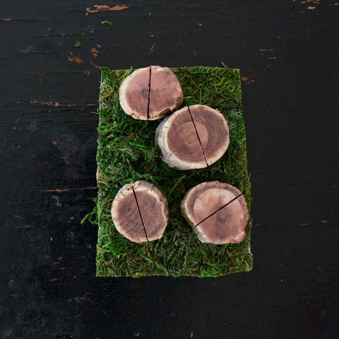 TIMBERCARDHOLDERS4WEB2