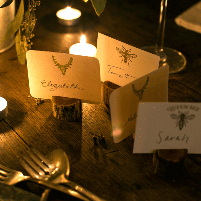 TIMBERCARDHOLDERS4WEB3