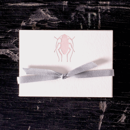 pink bug place card