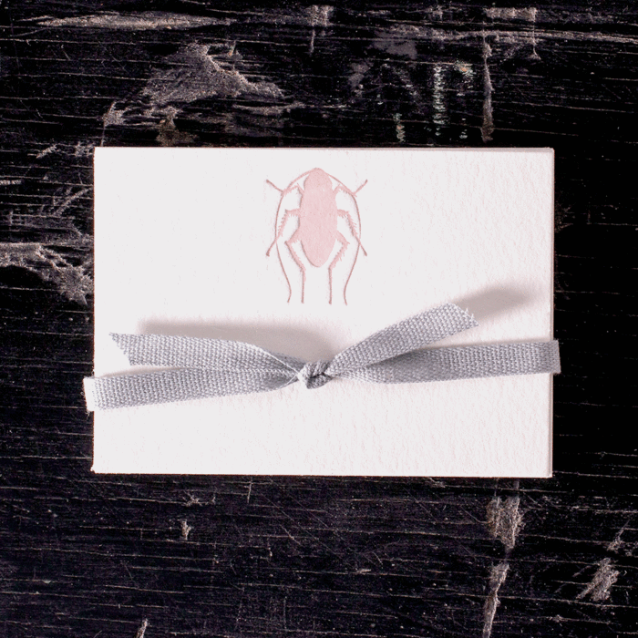 pink bug place card pink bug place card