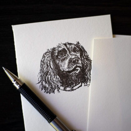 spaniel note card
