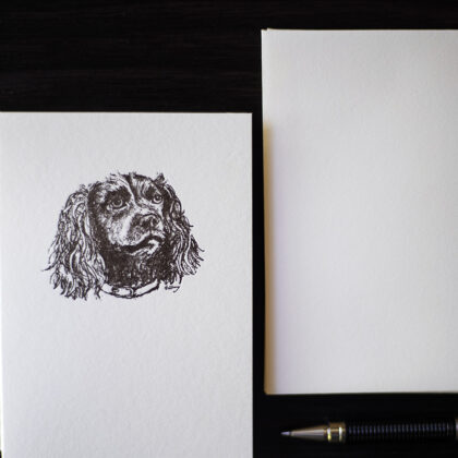 spaniel note card