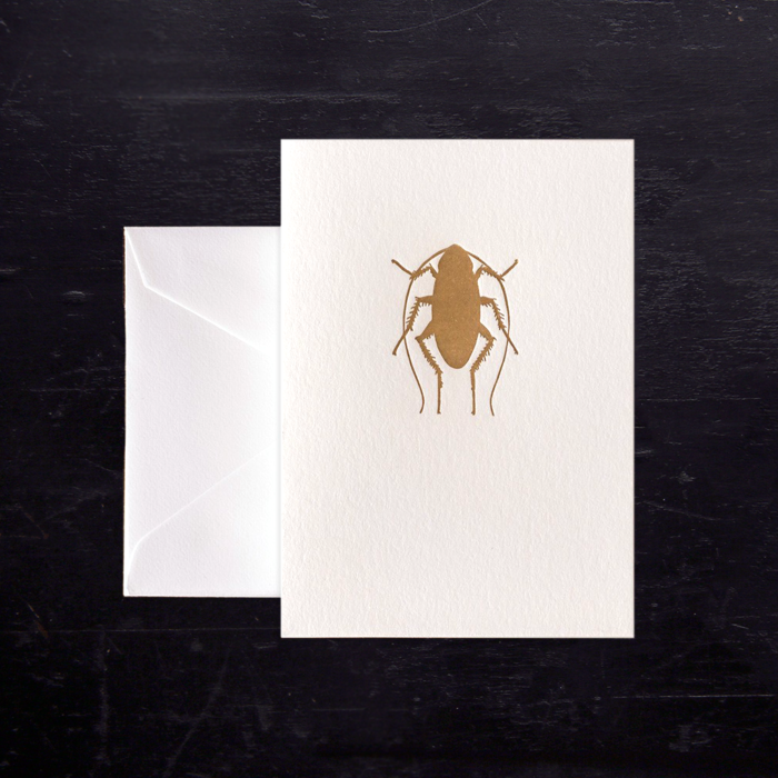 Palmetto Bug Note Cards Ancesserie