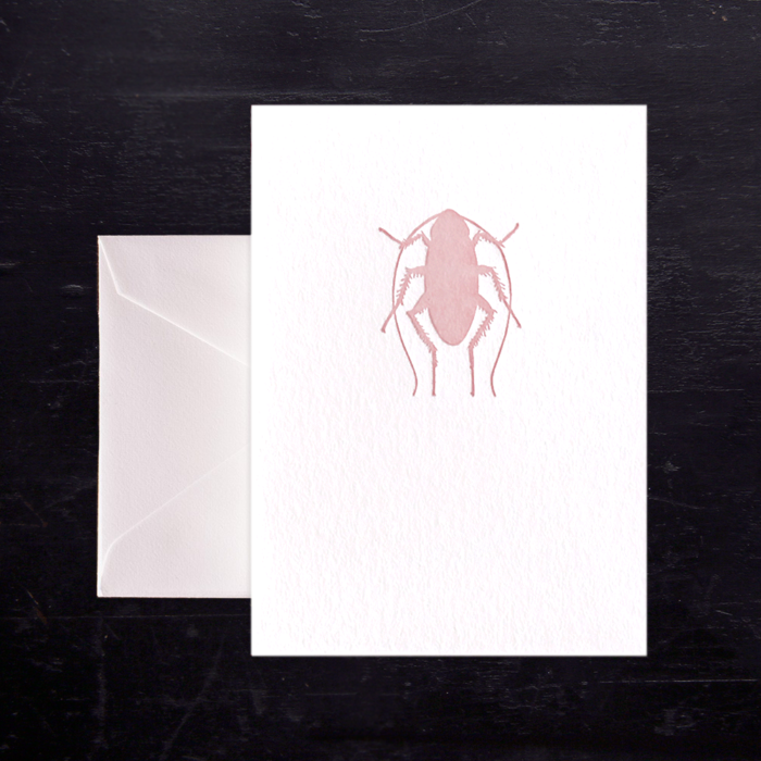 Pink Bug Note Card