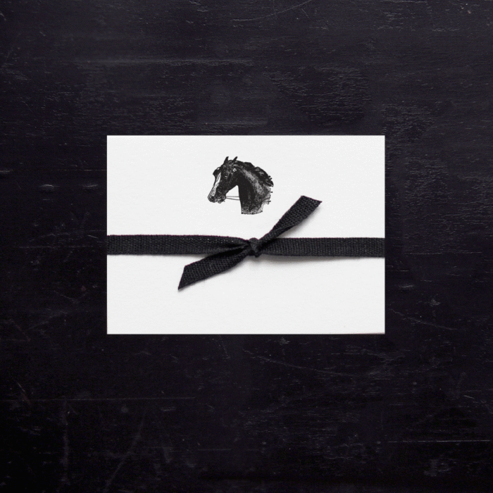 Horse Head Petite Cards Horse Head Petite Cards