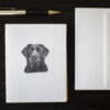 Black Lab Notes