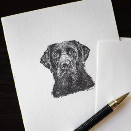 Black Lab Notes