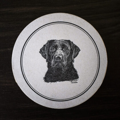 lab coasters