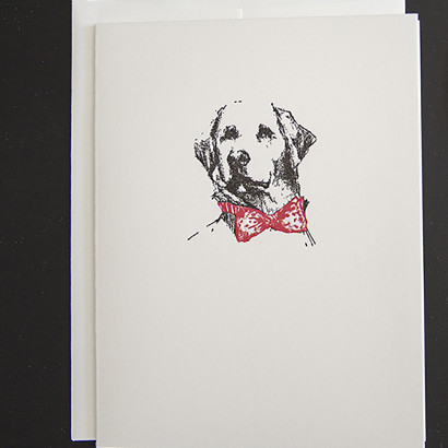 Holiday Lab Note Cards