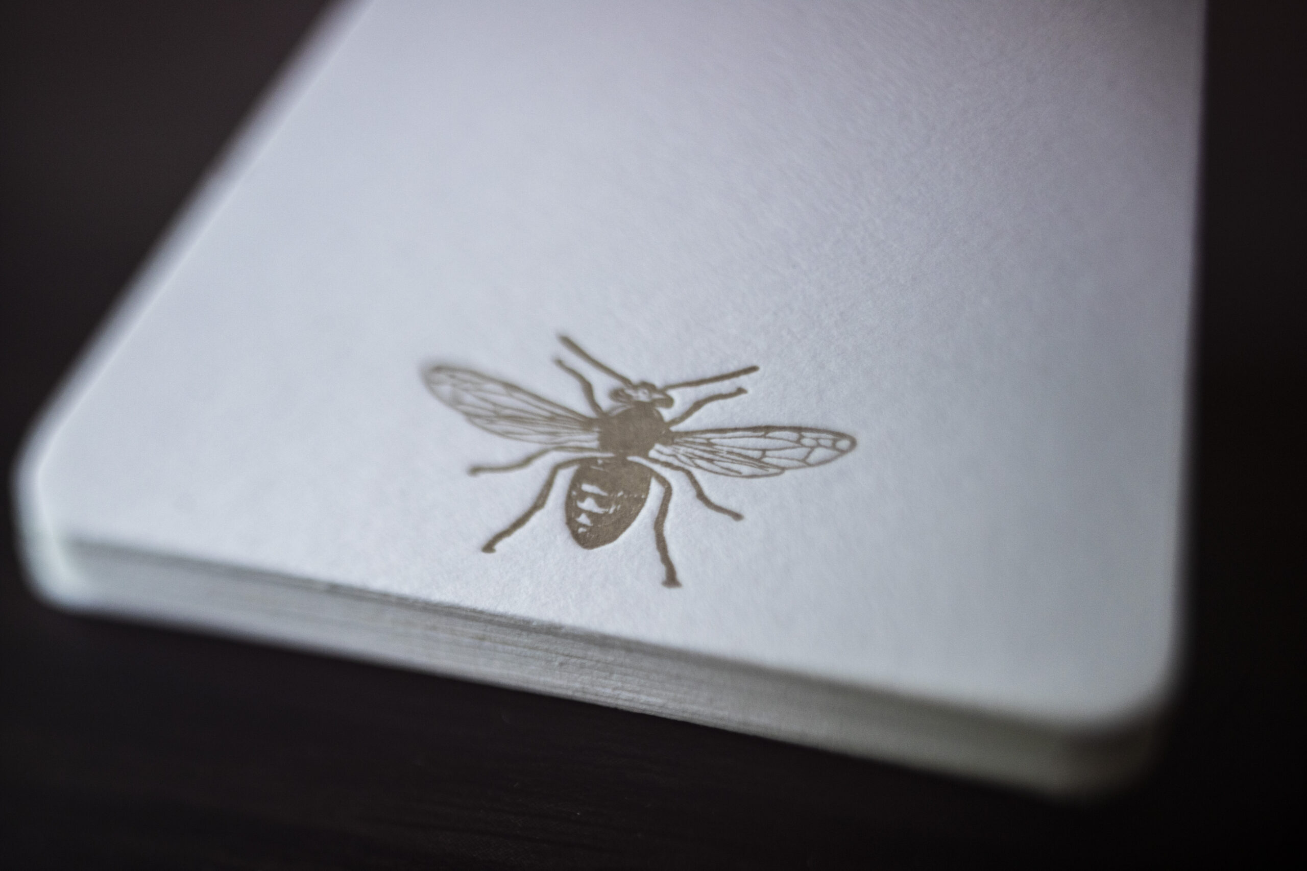 Honey Bee Small Note Cards