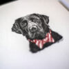 labwithbowtie2 Lab With Bow Tie Notes