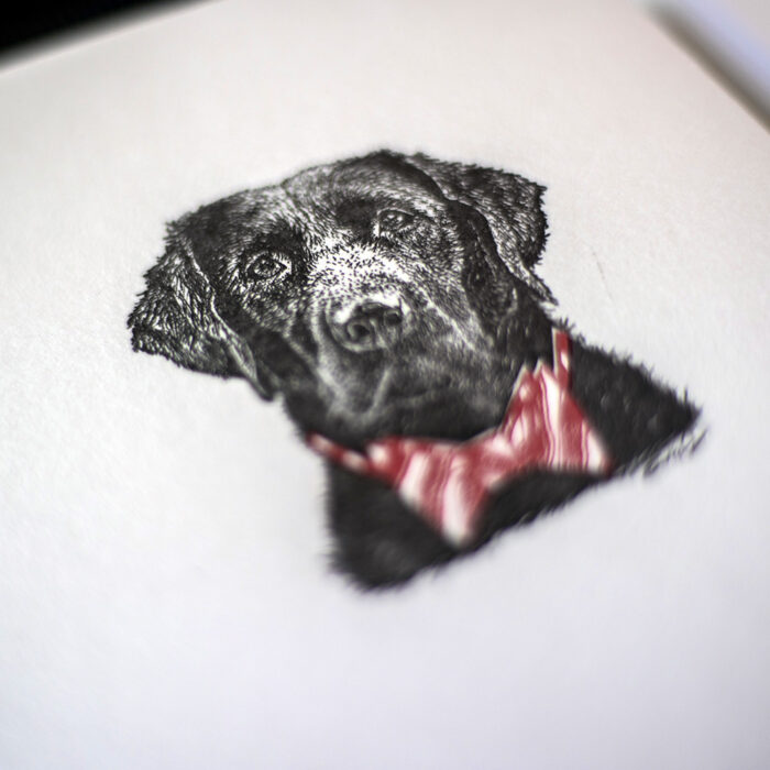 labwithbowtie2 Lab With Bow Tie Notes